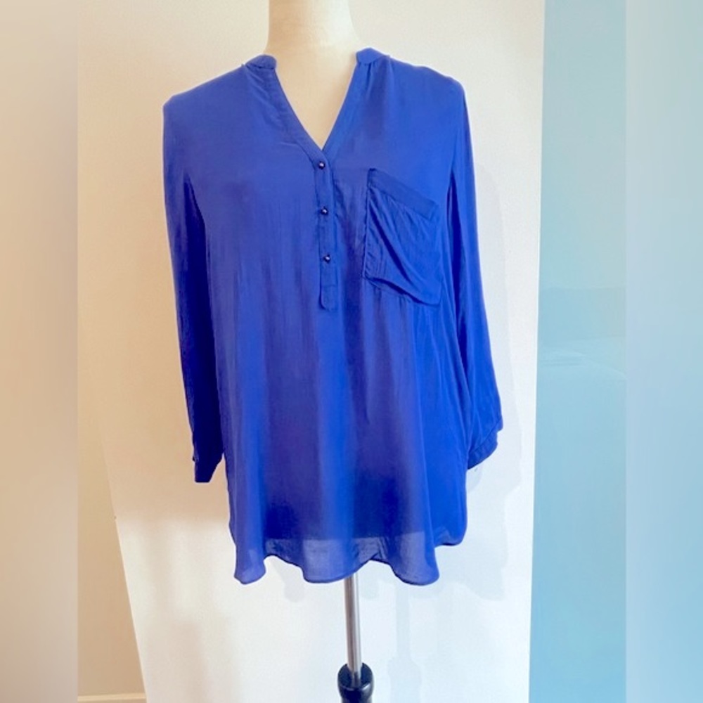 Zara Women’s Blue Semi Sheer Long Sleeve Blouse